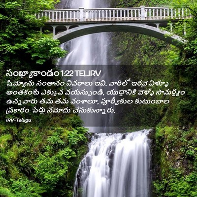 Picture 02 - సంఖ్యాకాండం 1:22 TELIRV - షిమ్యోను సంతానం - Bible Verse Picture