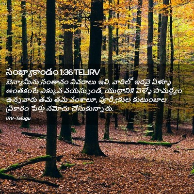 Picture 02 - సంఖ్యాకాండం 1:36 TELIRV - బెన్యామీను సంతానం - Bible Verse Picture