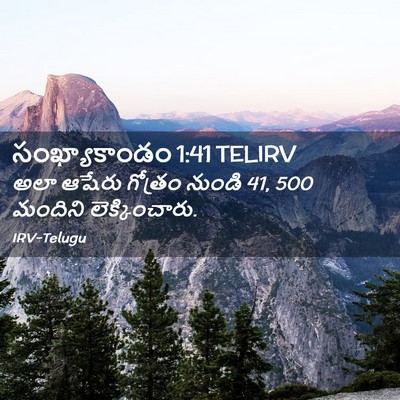 Picture 02 - సంఖ్యాకాండం 1:41 TELIRV - అలా ఆషేరు గోత్రం - Bible Verse Picture