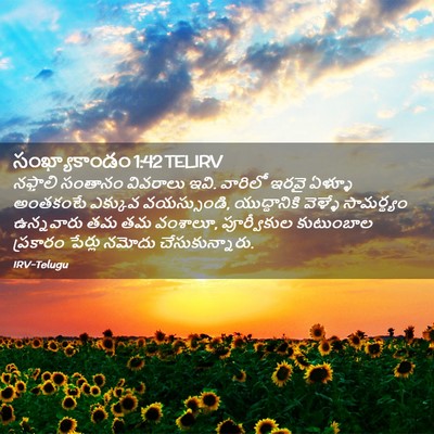 Picture 02 - సంఖ్యాకాండం 1:42 TELIRV - నఫ్తాలి సంతానం - Bible Verse Picture