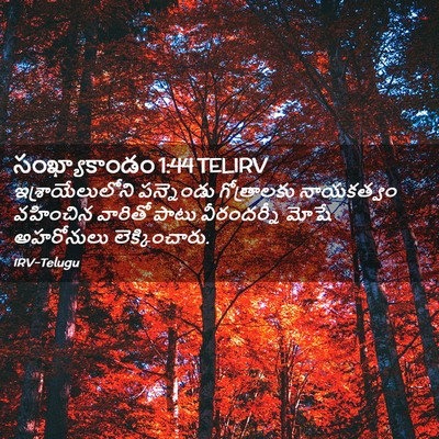 Picture 02 - సంఖ్యాకాండం 1:44 TELIRV - ఇశ్రాయేలులోని - Bible Verse Picture