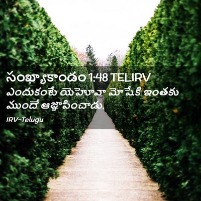 Picture 02 - సంఖ్యాకాండం 1:48 TELIRV - ఎందుకంటే యెహోవా - Bible Verse Picture
