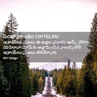 Picture 02 - సంఖ్యాకాండం 1:54 TELIRV - ఇశ్రాయేలు ప్రజలు - Bible Verse Picture