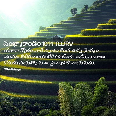 Picture 02 - సంఖ్యాకాండం 10:14 TELIRV - యూదా గోత్రం వారి - Bible Verse Picture