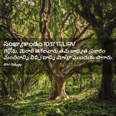 Picture 02 - సంఖ్యాకాండం 10:17 TELIRV - గెర్షోను, మెరారి - Bible Verse Picture
