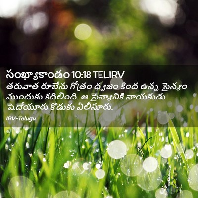 Picture 02 - సంఖ్యాకాండం 10:18 TELIRV - తరువాత రూబేను - Bible Verse Picture