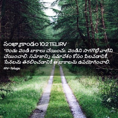 Picture 02 - సంఖ్యాకాండం 10:2 TELIRV - “రెండు వెండి - Bible Verse Picture