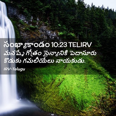 Picture 02 - సంఖ్యాకాండం 10:23 TELIRV - మనష్శే గోత్రం - Bible Verse Picture