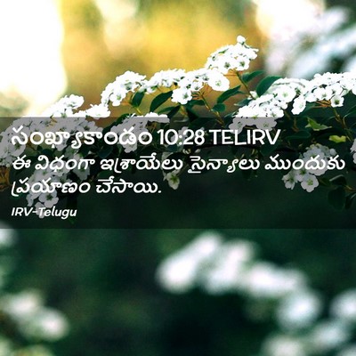 Picture 02 - సంఖ్యాకాండం 10:28 TELIRV - ఈ విధంగా - Bible Verse Picture