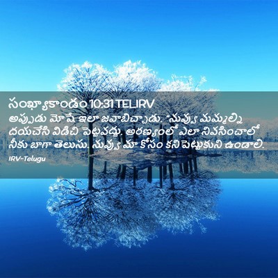 Picture 02 - సంఖ్యాకాండం 10:31 TELIRV - అప్పుడు మోషే ఇలా - Bible Verse Picture