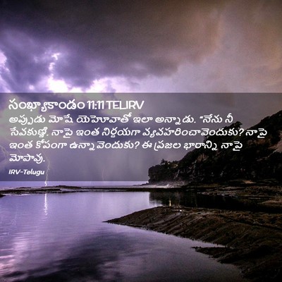 Picture 02 - సంఖ్యాకాండం 11:11 TELIRV - అప్పుడు మోషే - Bible Verse Picture