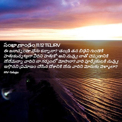 Picture 02 - సంఖ్యాకాండం 11:12 TELIRV - ఈ జనాన్నంతా నేను - Bible Verse Picture