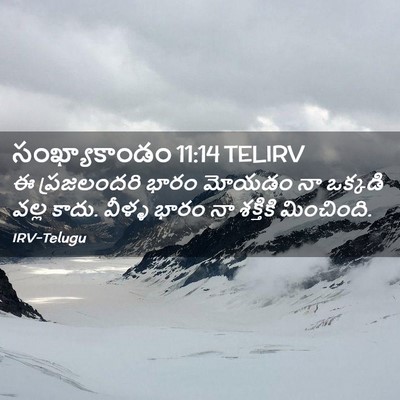 Picture 02 - సంఖ్యాకాండం 11:14 TELIRV - ఈ ప్రజలందరి భారం - Bible Verse Picture