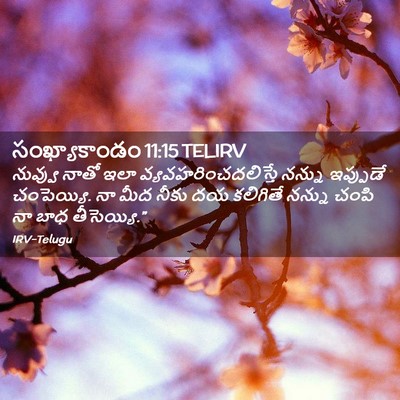 Picture 02 - సంఖ్యాకాండం 11:15 TELIRV - నువ్వు నాతో ఇలా - Bible Verse Picture