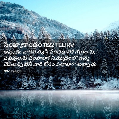 Picture 02 - సంఖ్యాకాండం 11:22 TELIRV - ఇప్పుడు వారిని - Bible Verse Picture