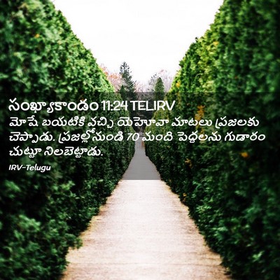 Picture 02 - సంఖ్యాకాండం 11:24 TELIRV - మోషే బయటికి వచ్చి - Bible Verse Picture