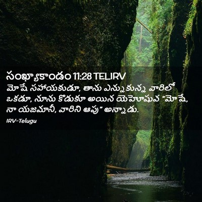 Picture 02 - సంఖ్యాకాండం 11:28 TELIRV - మోషే సహాయకుడూ, - Bible Verse Picture