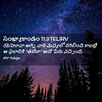 Picture 02 - సంఖ్యాకాండం 11:3 TELIRV - యెహోవా అగ్ని వారి - Bible Verse Picture