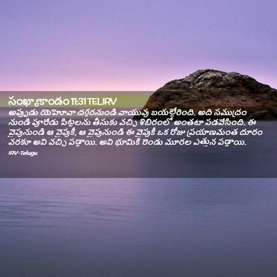Picture 02 - సంఖ్యాకాండం 11:31 TELIRV - అప్పుడు యెహోవా - Bible Verse Picture