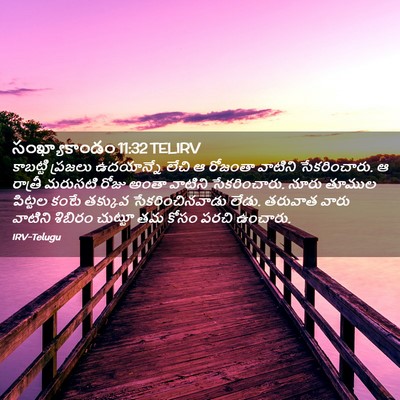 Picture 02 - సంఖ్యాకాండం 11:32 TELIRV - కాబట్టి ప్రజలు - Bible Verse Picture