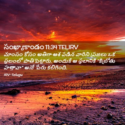 Picture 02 - సంఖ్యాకాండం 11:34 TELIRV - మాంసం కోసం అతిగా - Bible Verse Picture