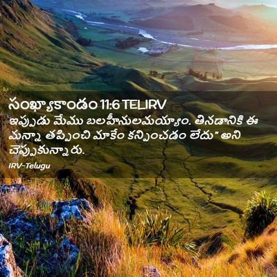 Picture 02 - సంఖ్యాకాండం 11:6 TELIRV - ఇప్పుడు మేము - Bible Verse Picture