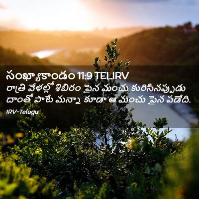 Picture 02 - సంఖ్యాకాండం 11:9 TELIRV - రాత్రి వేళల్లో - Bible Verse Picture