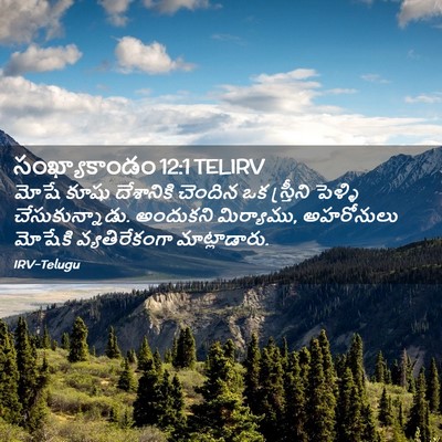 Picture 02 - సంఖ్యాకాండం 12:1 TELIRV - మోషే కూషు - Bible Verse Picture