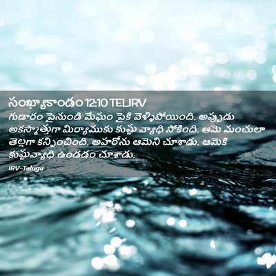Picture 02 - సంఖ్యాకాండం 12:10 TELIRV - గుడారం పైనుండి - Bible Verse Picture