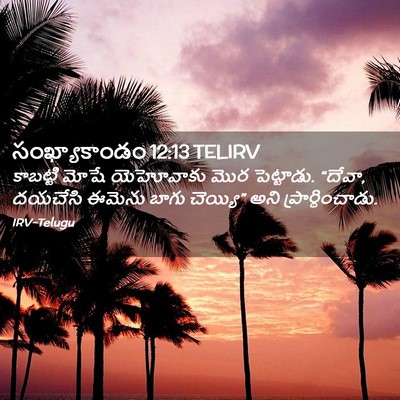 Picture 02 - సంఖ్యాకాండం 12:13 TELIRV - కాబట్టి మోషే - Bible Verse Picture