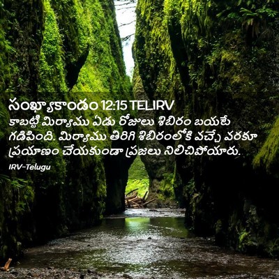 Picture 02 - సంఖ్యాకాండం 12:15 TELIRV - కాబట్టి మిర్యాము - Bible Verse Picture