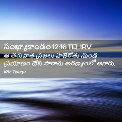 Picture 02 - సంఖ్యాకాండం 12:16 TELIRV - ఆ తరువాత ప్రజలు - Bible Verse Picture