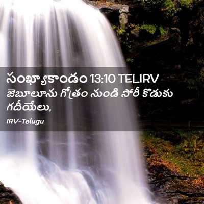 Picture 02 - సంఖ్యాకాండం 13:10 TELIRV - జెబూలూను గోత్రం - Bible Verse Picture