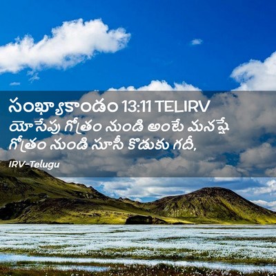 Picture 02 - సంఖ్యాకాండం 13:11 TELIRV - యోసేపు గోత్రం - Bible Verse Picture