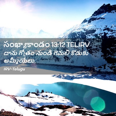 Picture 02 - సంఖ్యాకాండం 13:12 TELIRV - దాను గోత్రం నుండి - Bible Verse Picture