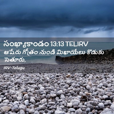 Picture 02 - సంఖ్యాకాండం 13:13 TELIRV - ఆషేరు గోత్రం - Bible Verse Picture