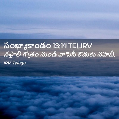 Picture 02 - సంఖ్యాకాండం 13:14 TELIRV - నఫ్తాలి గోత్రం - Bible Verse Picture