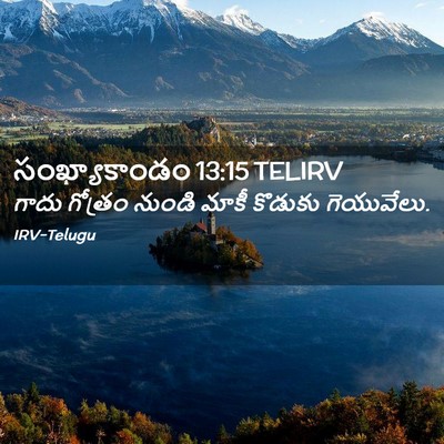 Picture 02 - సంఖ్యాకాండం 13:15 TELIRV - గాదు గోత్రం నుండి - Bible Verse Picture