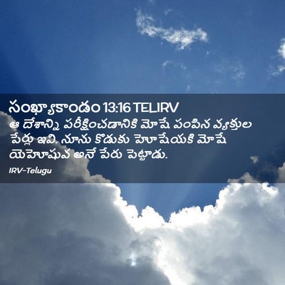 Picture 02 - సంఖ్యాకాండం 13:16 TELIRV - ఆ దేశాన్ని - Bible Verse Picture