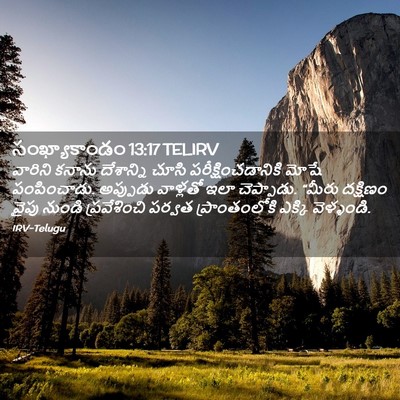 Picture 02 - సంఖ్యాకాండం 13:17 TELIRV - వారిని కనాను - Bible Verse Picture