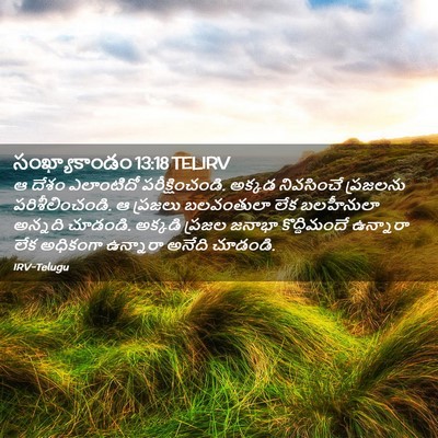 Picture 02 - సంఖ్యాకాండం 13:18 TELIRV - ఆ దేశం ఎలాంటిదో - Bible Verse Picture