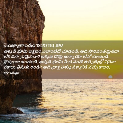 Picture 02 - సంఖ్యాకాండం 13:20 TELIRV - అక్కడి భూమి - Bible Verse Picture