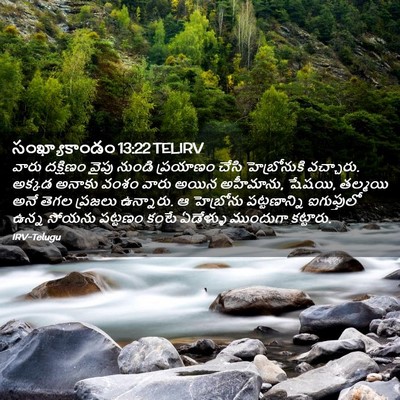Picture 02 - సంఖ్యాకాండం 13:22 TELIRV - వారు దక్షిణం వైపు - Bible Verse Picture