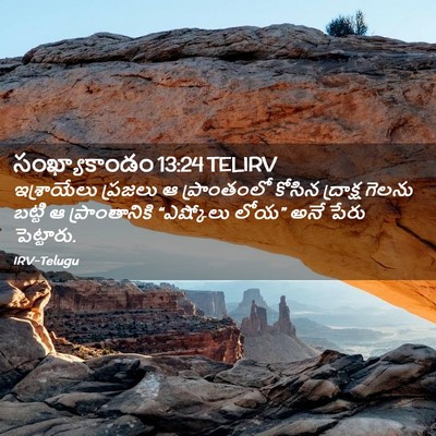 Picture 02 - సంఖ్యాకాండం 13:24 TELIRV - ఇశ్రాయేలు ప్రజలు - Bible Verse Picture