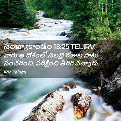 Picture 02 - సంఖ్యాకాండం 13:25 TELIRV - వారు ఆ దేశంలో నలభై - Bible Verse Picture