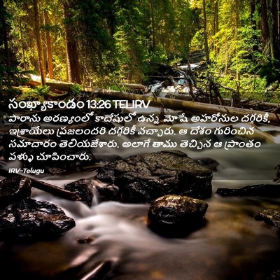 Picture 02 - సంఖ్యాకాండం 13:26 TELIRV - పారాను అరణ్యంలో - Bible Verse Picture