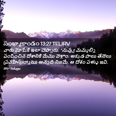 Picture 02 - సంఖ్యాకాండం 13:27 TELIRV - వారు మోషేకి ఇలా - Bible Verse Picture