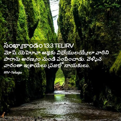 Picture 02 - సంఖ్యాకాండం 13:3 TELIRV - మోషే యెహోవా - Bible Verse Picture