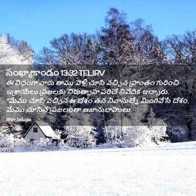 Picture 02 - సంఖ్యాకాండం 13:32 TELIRV - ఈ విధంగా వారు తాము - Bible Verse Picture