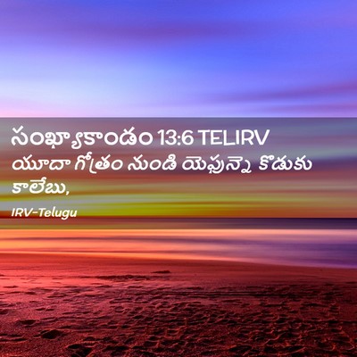 Picture 02 - సంఖ్యాకాండం 13:6 TELIRV - యూదా గోత్రం నుండి - Bible Verse Picture